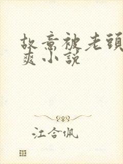 故意被老头强好爽小说