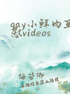 gay小鲜肉互慰videos