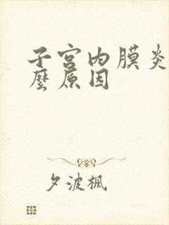 子宫内膜炎有什么原因