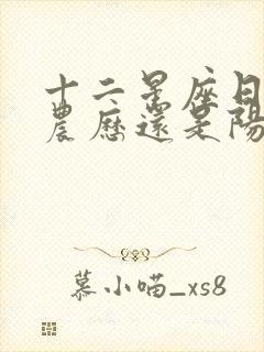 十二星座日期是农历还是阳历