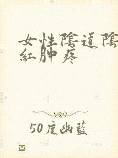 女性阴道阴道口红肿疼