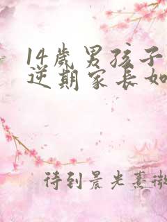 14岁男孩子叛逆期家长如何管教