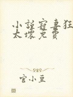 小说宠妻狂魔别太坏免费