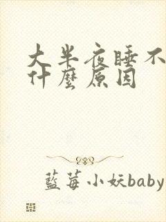 大半夜睡不着是什么原因