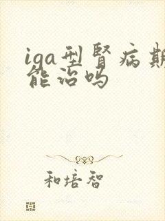 iga型肾病期能治吗