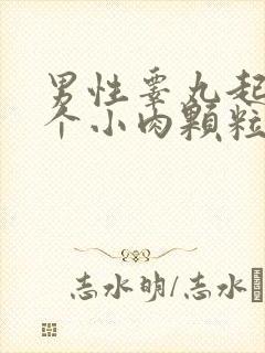 男性睾丸起了一个小肉颗粒