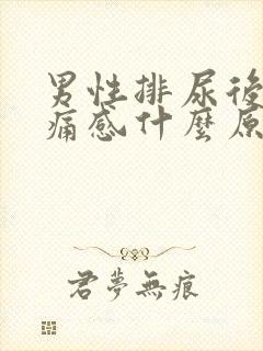 男性排尿后有刺痛感什么原因