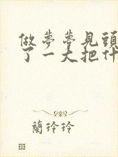 做梦梦见头发掉了一大把什么预兆