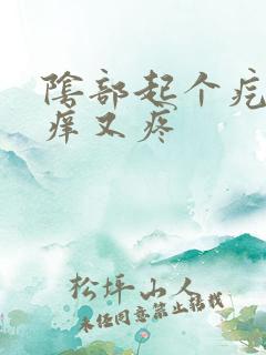 阴部起个疙瘩又痒又疼