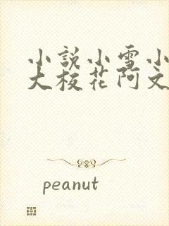 小说小雪小柔两大校花阿文