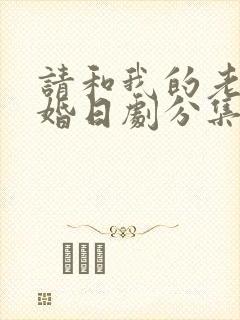 请和我的老公结婚日剧分集剧情