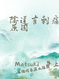 阴道有刺痛感啥原因