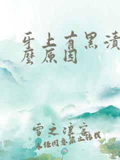 牙上有黑渍是什么原因