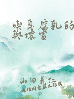 吃臭腐乳的好处与坏处