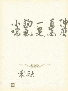 小狗一直伸舌头喘气是怎么回事