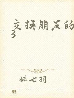 交换朋友的妻子3
