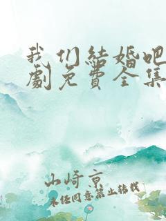 我们结婚吧电视剧免费全集