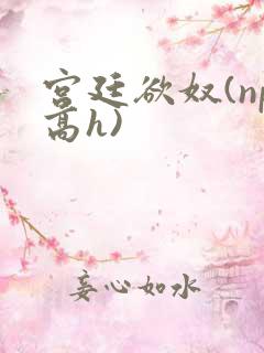 宫廷欲奴(np高h)