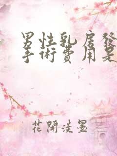 男性乳房发育症手术费用是多少