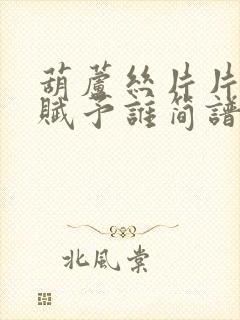 葫芦丝片片相思赋予谁简谱