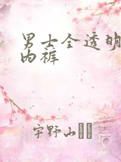 男士全透明三角内裤