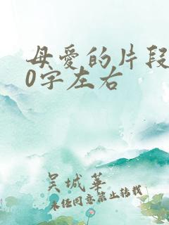 母爱的片段200字左右