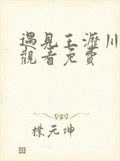 遇见王沥川全集观看免费