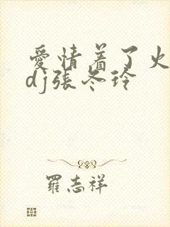 爱情着了火原唱dj张冬玲