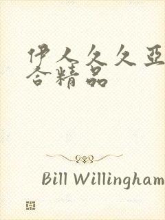 伊人久久亚洲综合精品