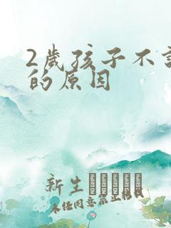 2岁孩子不说话的原因