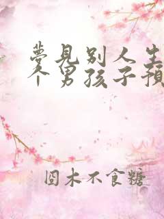 梦见别人生了两个男孩子预示什么