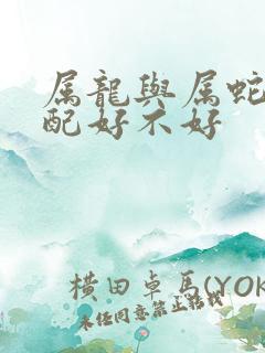 属龙与属蛇的婚配好不好