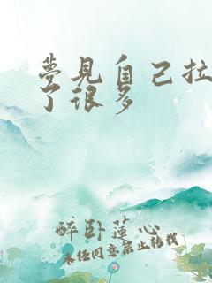 梦见自己拉屎拉了很多