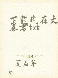 下载我在大明当暴君txt