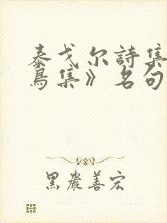 泰戈尔诗集《飞鸟集》名句欣赏