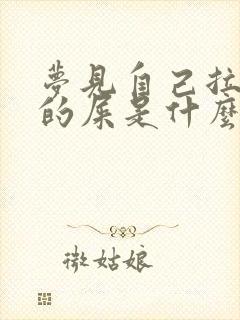 梦见自己拉不完的屎是什么意思