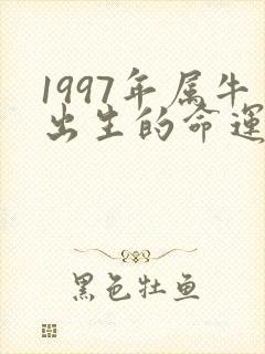 1997年属牛出生的命运怎么样