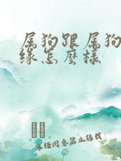 属狗跟属狗的姻缘怎么样