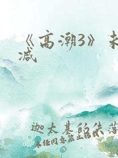 《高潮3》未删减