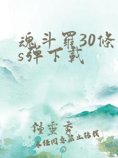 魂斗罗30条命s弹下载