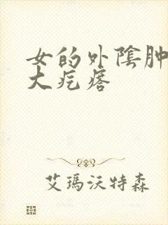 女的外阴肿了个大疙瘩