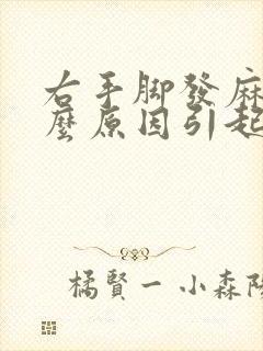 右手脚发麻是什么原因引起的