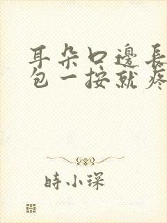 耳朵口边长了个包一按就疼