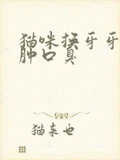 猫咪换牙牙龈红肿口臭