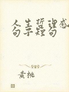 人生哲理感悟的句子短句