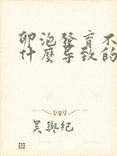 卵泡发育不好是什么导致的