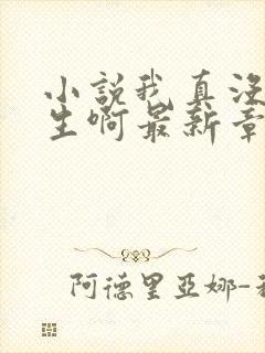 小说我真没想重生啊最新章节列表最