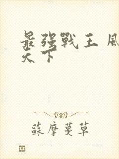最强战王 风凌天下