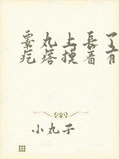 睾丸上长了个肉疙瘩摸着有点疼