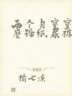 两个月宝宝用什么号纸尿裤